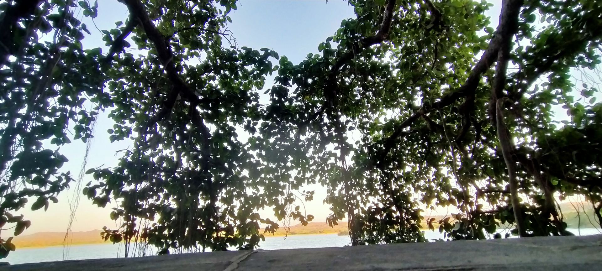 Evening golden light over the reserve