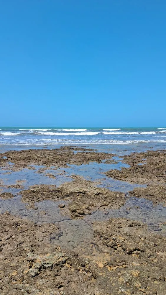 20230513 114824 in Kutch