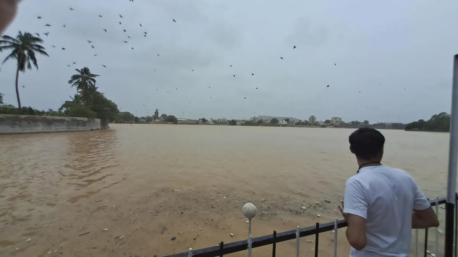 20230617 124310 in Kutch