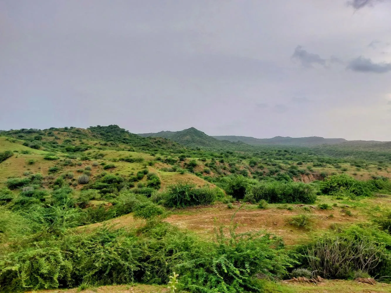 20230714 183923~2 in Kutch