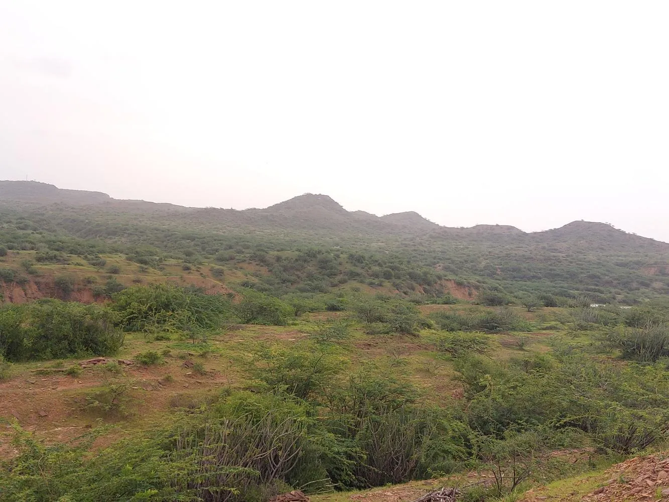 20230714 184150 in Kutch