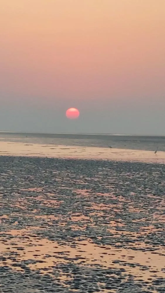 20231028 181240 in Kutch