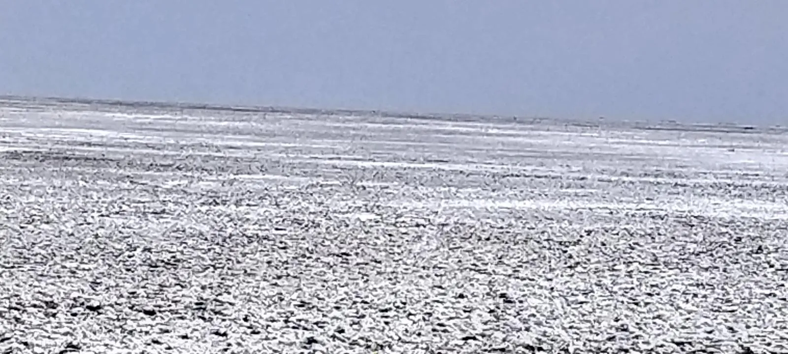 IMG20191211151105 in Kutch