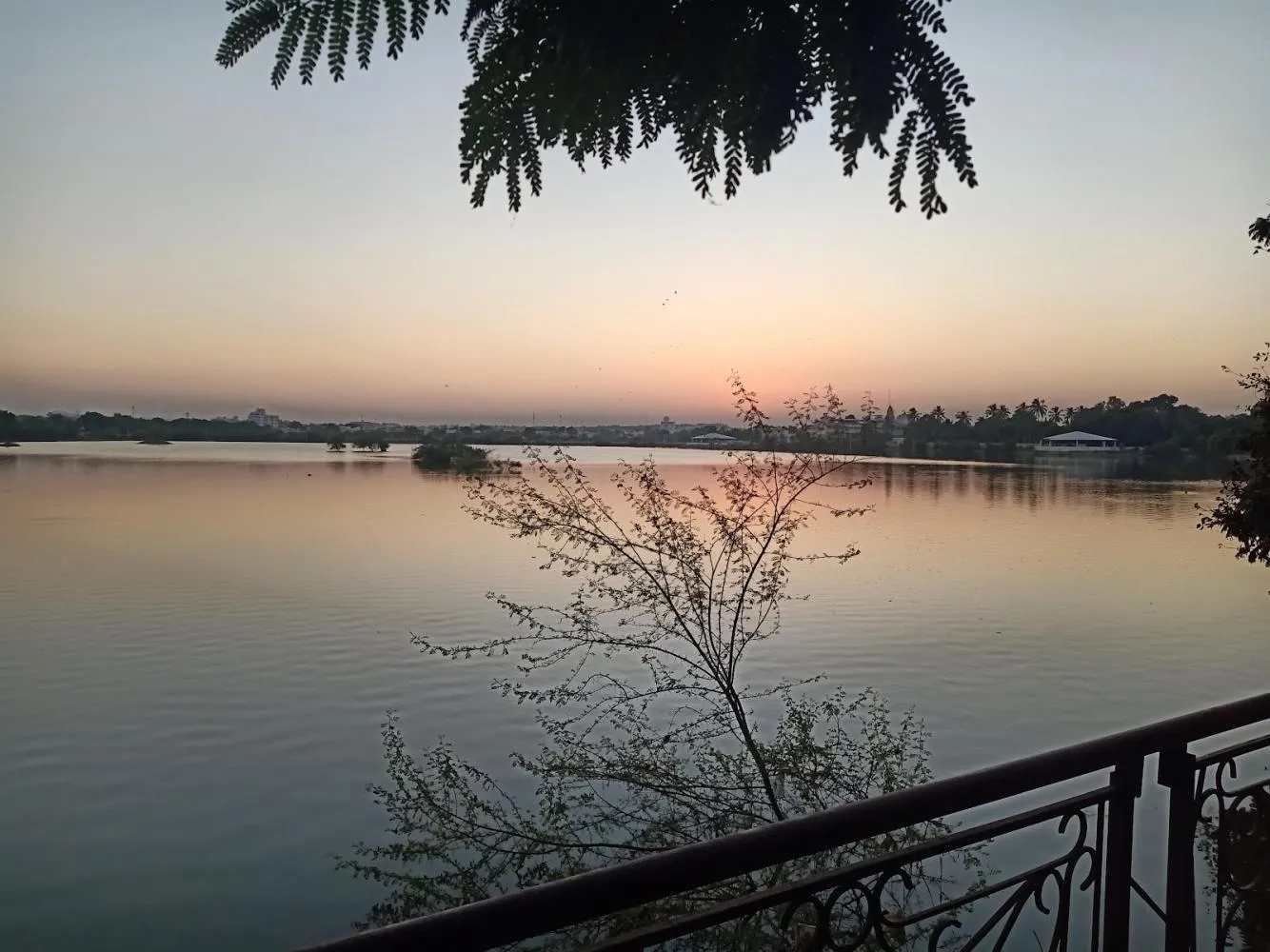 IMG20201116180205 in Kutch