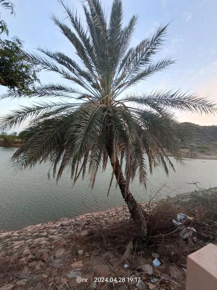 IMG20240428191730 in Kutch