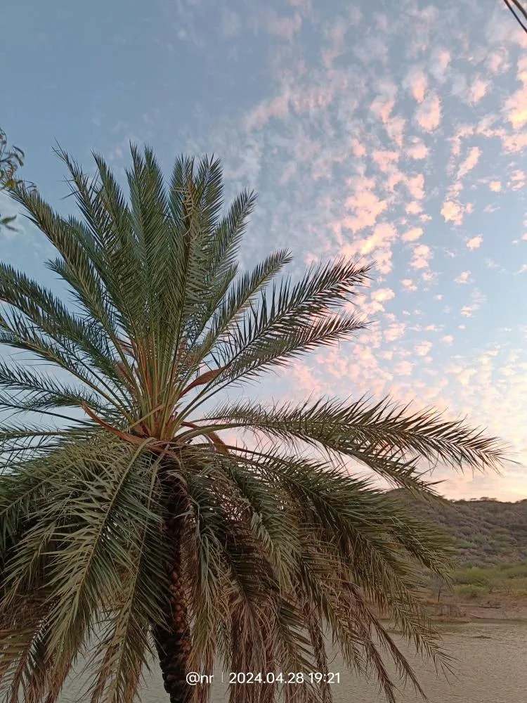 IMG20240428192159 in Kutch