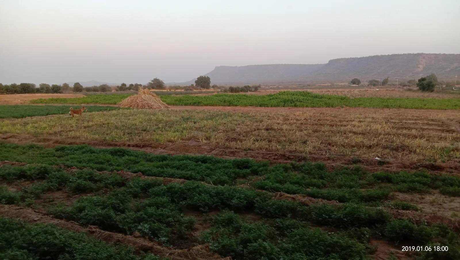 IMG 20190106 180045 in Kutch