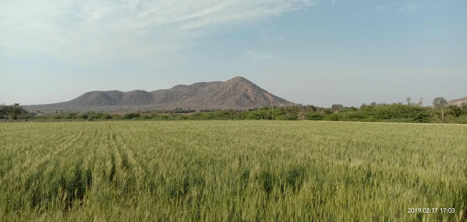 IMG 20190217 170314 in Kutch