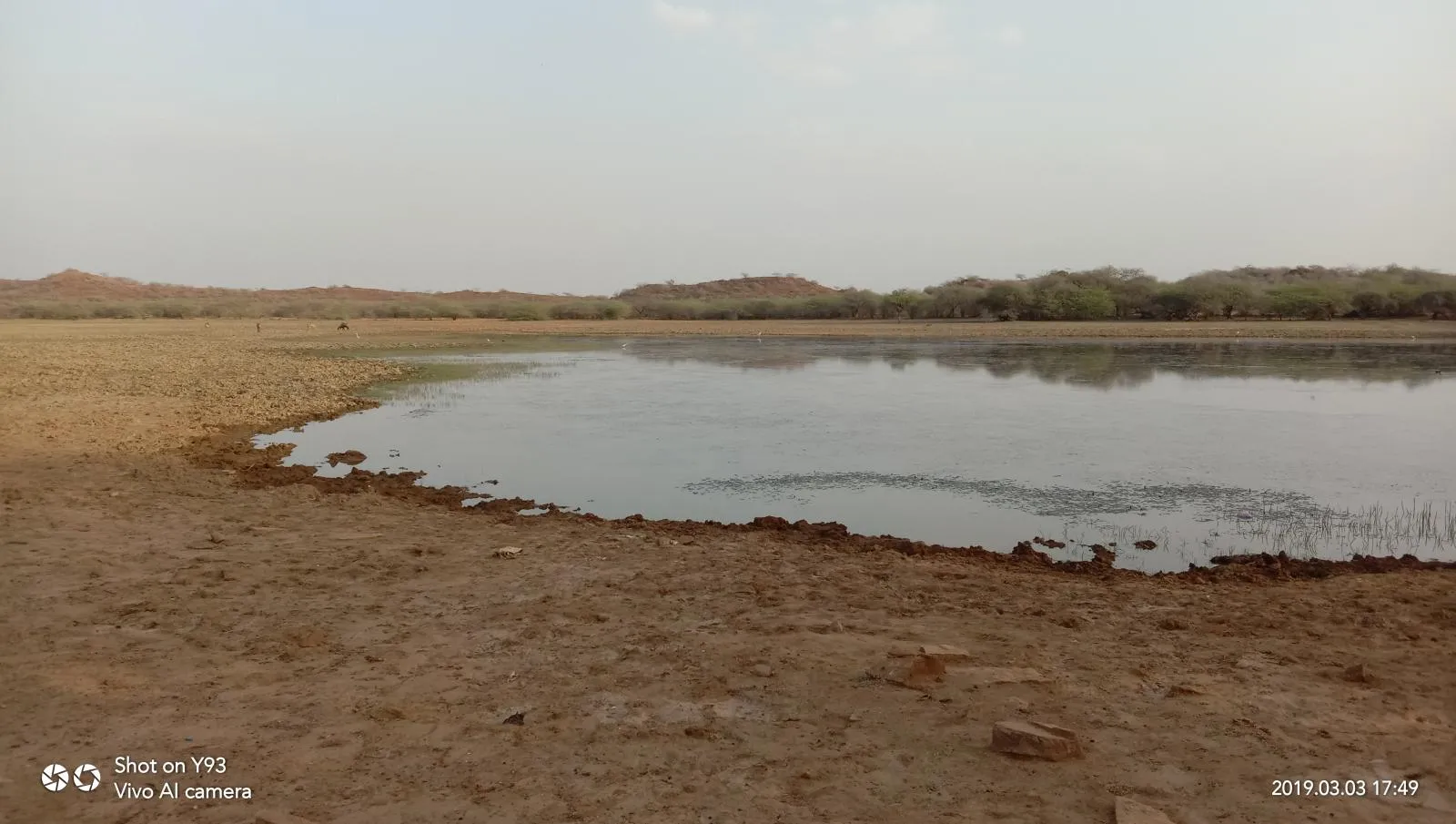 IMG 20190303 174904 in Kutch