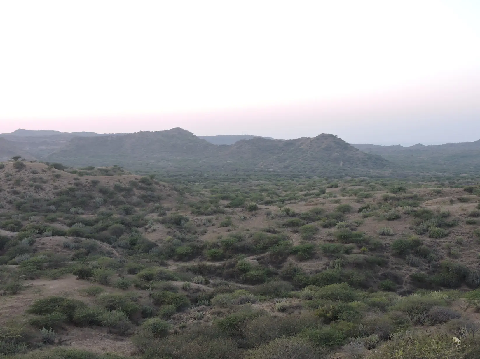Landscape textures around Jadura