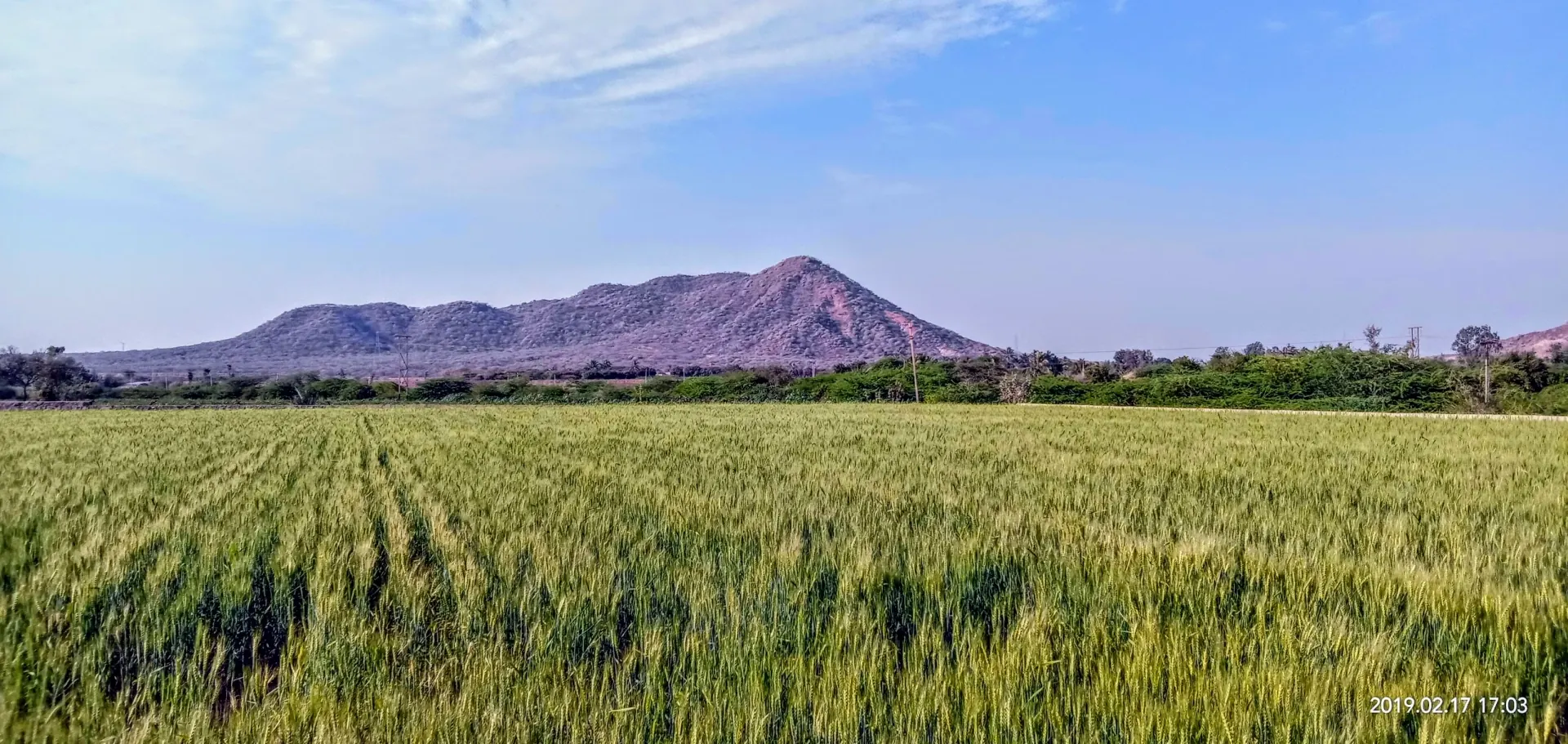 Road leading up to Roha Fort
